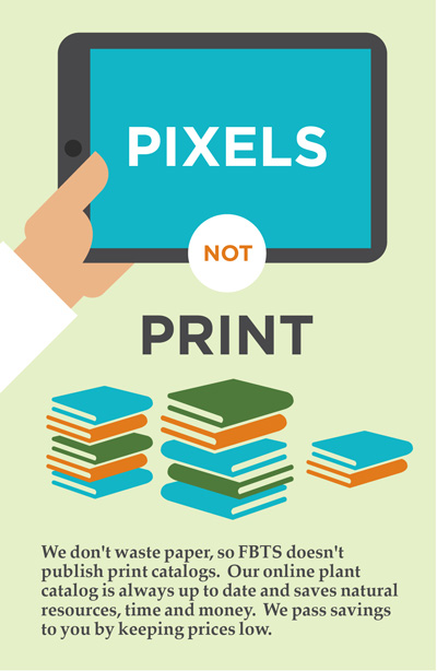 Pixels Not Print - Our Catalog With A Conscience