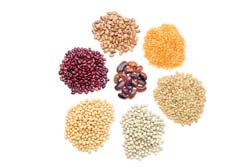 Ask Mr. Sage: Does Flowers by the Sea Sell Seeds?