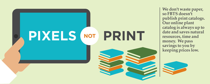 Pixels Not Print - Our Catalog With A Conscience