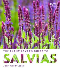 Book Review: The Plant Lover's Guide to Salvias