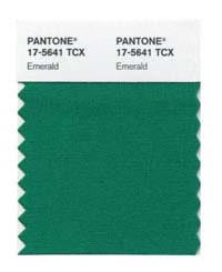 Pantone Pageant: Emerald Designer Salvias