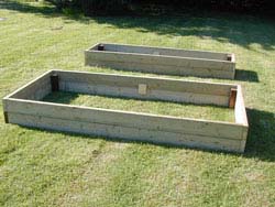 Salvia Small Talk: Raised Beds for Sage