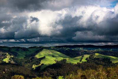 Salvia Summit III Meets at Tilden Regional Park in October