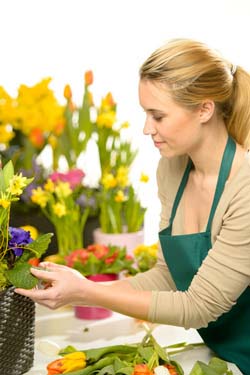 Salvia Small Talk: Accenting Floral Arrangements with Salvias