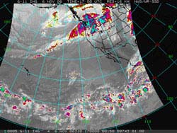 Salvia Small Talk: Atmospheric Rivers & Bog Sage