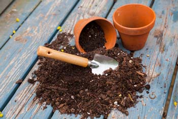 Container Gardening Basics: Selecting a Good Potting Mix