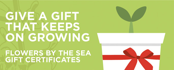 Flowers by the Sea Gift Certificates are perfect gifts