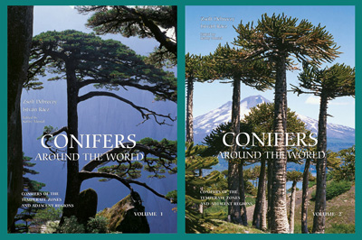 COnifers Around the World